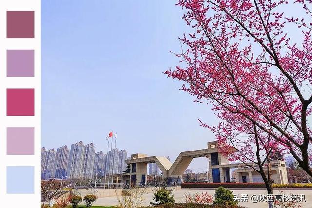 靜待戰(zhàn)＂疫＂勝利，西醫(yī)的女神們花開百艷的學(xué)校等你們平安歸來