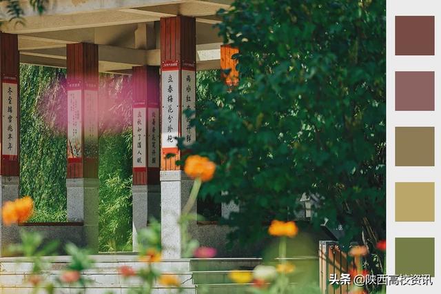 靜待戰(zhàn)＂疫＂勝利，西醫(yī)的女神們花開百艷的學(xué)校等你們平安歸來